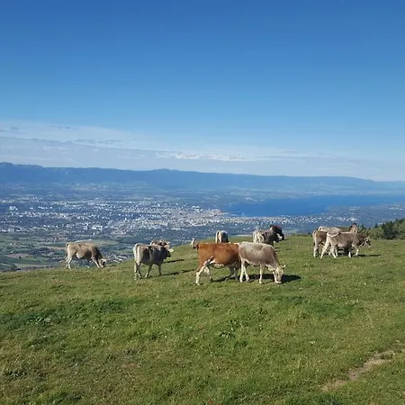 Au Calme Avec Terrasse Verdoyante Entre Annecy Et Geneve